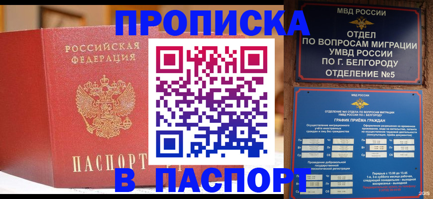 временная регистрация в квартире в Оленегорске